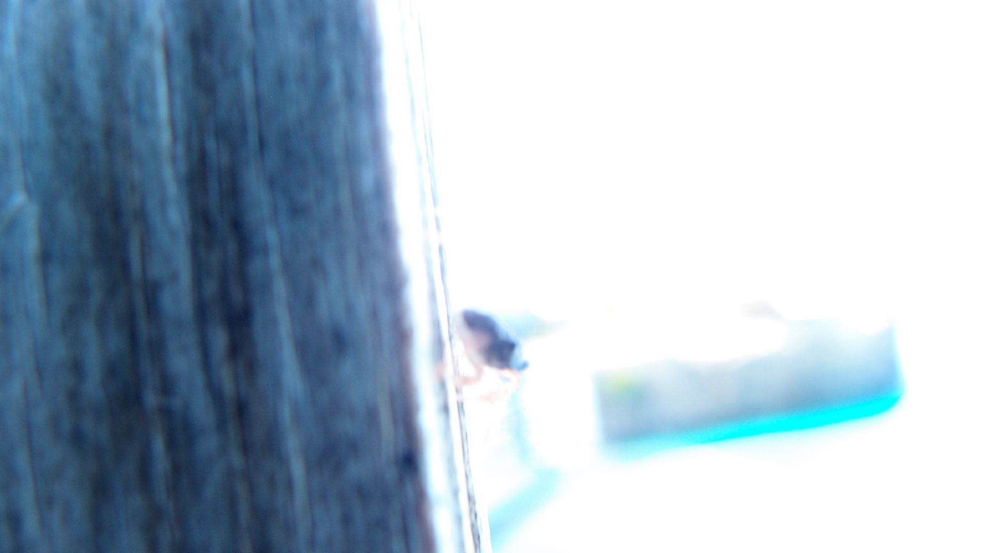 2022-10-22 11 Uhr 04 kleine Krabben (Foto, Video)